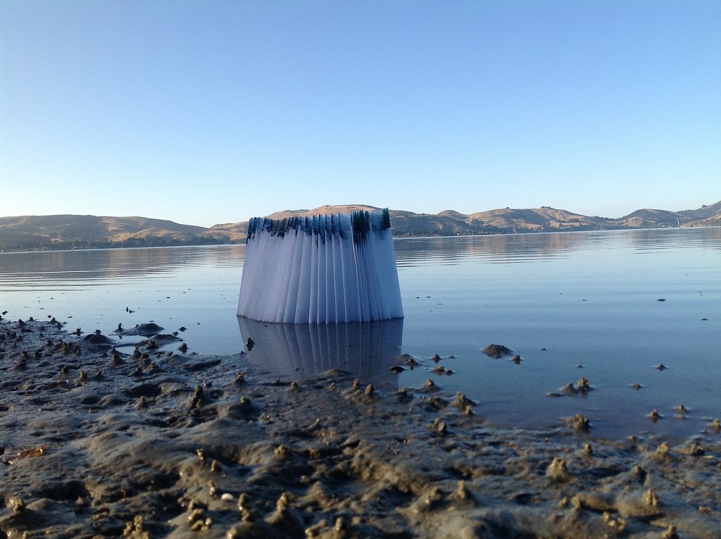 Installation in situ 