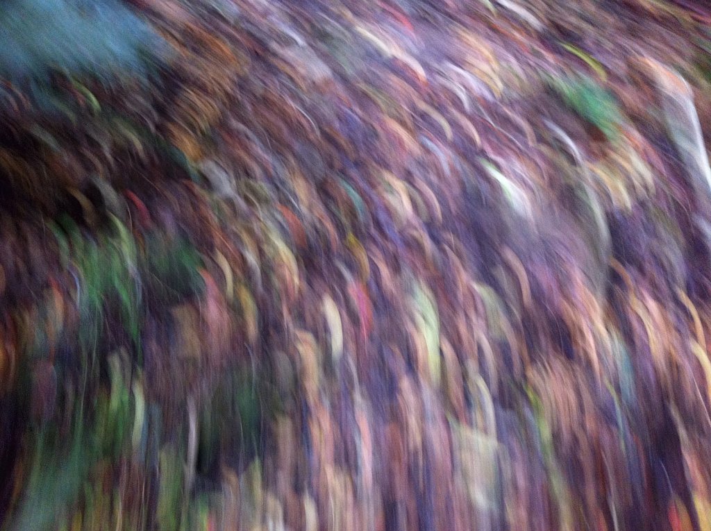 Visual movement 