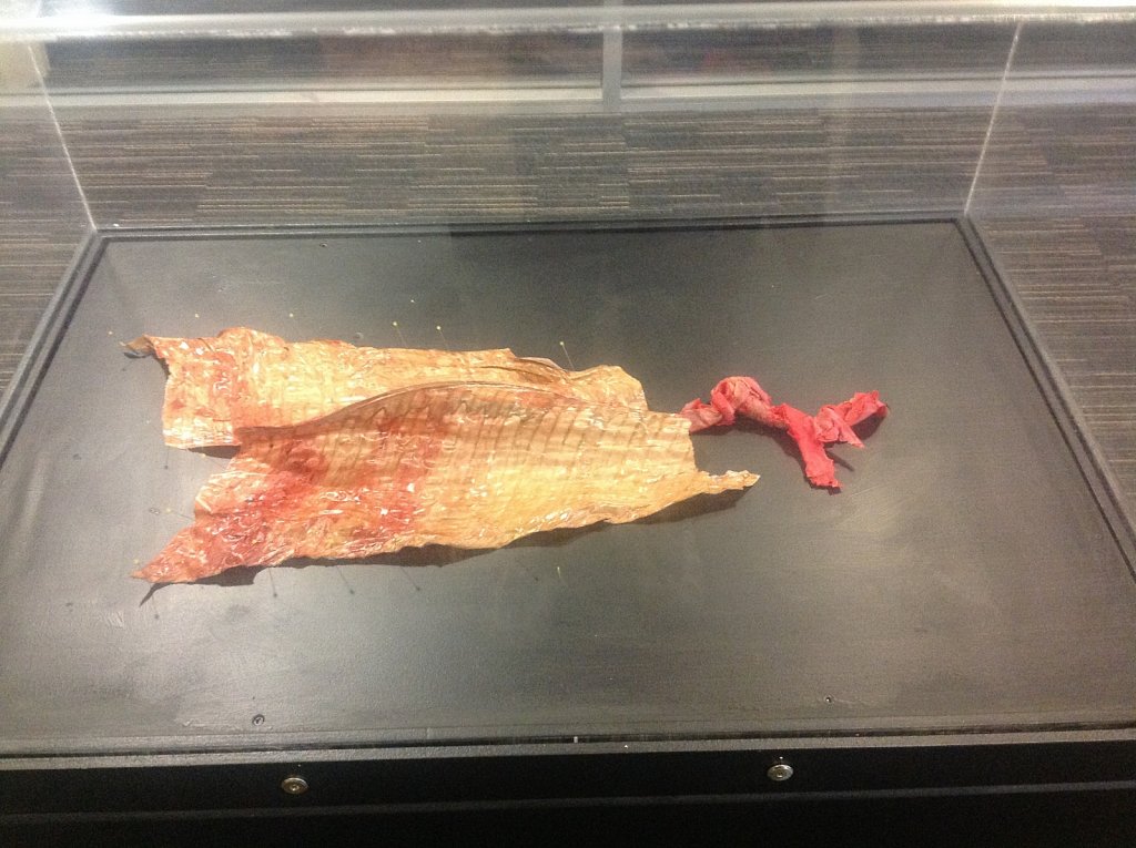 Art and Anatomy collaboration