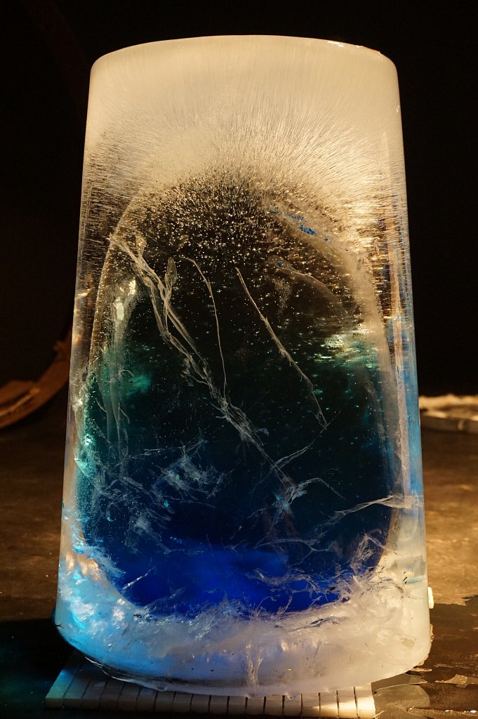 frozen element 