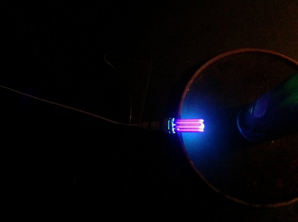 black light /quinine